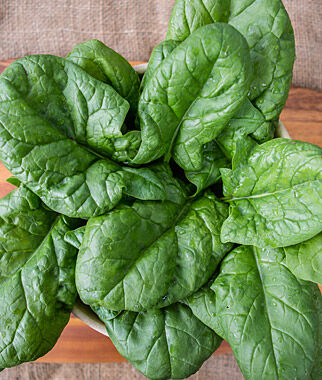 Spinach, Persius Hybrid - Plants Seeds