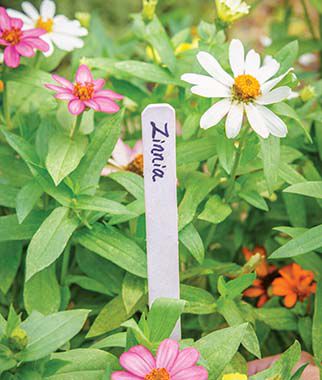 Plant and Row Tags