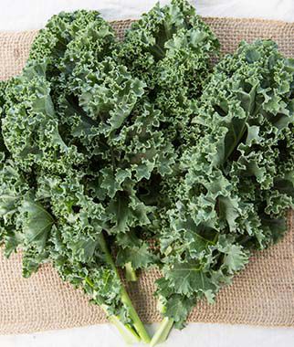 Kale, Prizm Hybrid - Plants Seeds