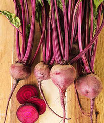 Beet, Merlin Hybrid - Plants Seeds