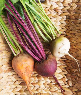 Beet, Three Color Blend - Plants Seeds