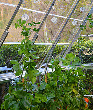 Trellising Kit for Palram Greenhouses - Plants Seeds