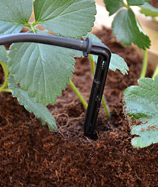 Drip Irrigation Kit for Palram Greenhouses - Seedsplant