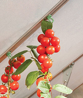 Plant Hangers for Palram Greenhouses