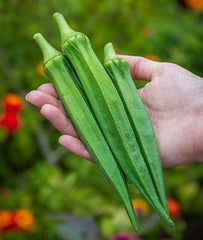 Okra, Go Big - Plants Seeds