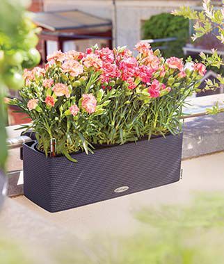 Balconissima Self-Watering Planter