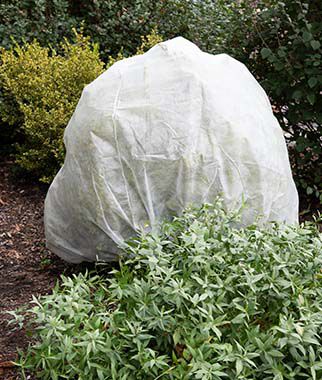 Harvest-Guard Plant Protection Bag