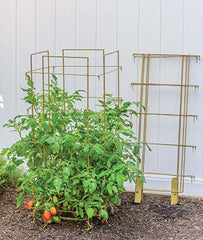 Burpee Titan Tomato Support - Plants Seeds
