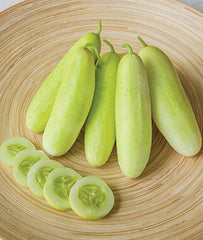 Cucumber, Honey Plus Hybrid - Plants Seeds