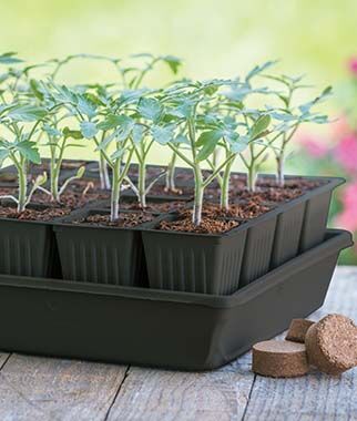 16 Cell Self-Watering Ultimate Grow System - Plants Seeds