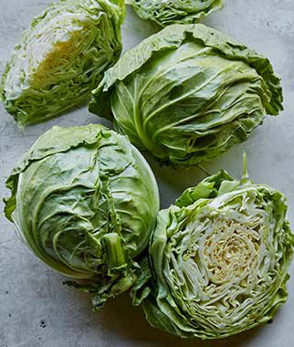 Cabbage Overture Hybrid