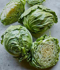 Cabbage, Overture Hybrid - Plants Seeds