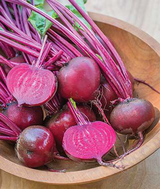 Beet Mono Round Red