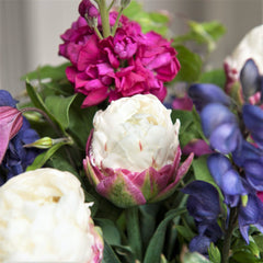 Tulip Bulbs Ice Cream Blooms Species Growing Bonsai Roots Rhizomes Corms Tubers Potted Planting Reblooming Fragrant Garden Flower Seeds Plant