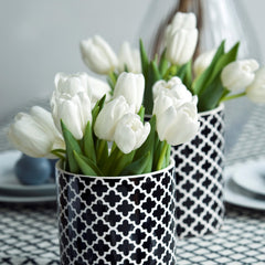 Tulip Bulbs Maureen Blooms Species Growing Bonsai Roots Rhizomes Corms Tubers Potted Planting Reblooming Fragrant Garden Flower Seeds Plant